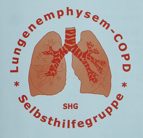 SHG-Logo (Foto: Agentur)