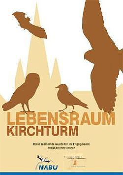 Lebensraum Kirchturm (Foto: Olaf Pleyer)