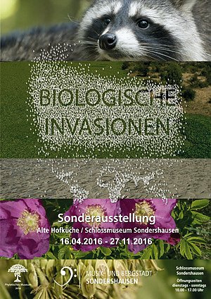 Erkundungsgang durch Sondershausen (Foto: Stadt Sondershausen)