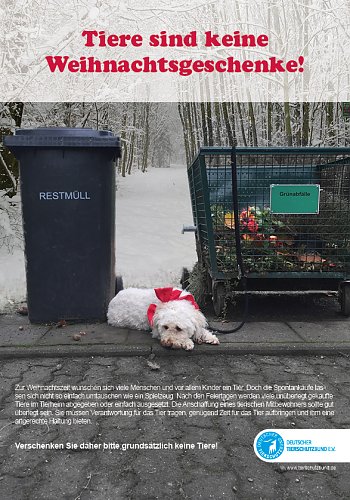 Tiere sind keine Geschenke (Foto: Deutscher Tierschutzbund e.V.)