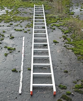 Leiter (Foto: Polizei)