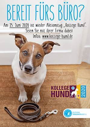 Aktionstag Kollege Hund (Foto: Deutscher Tierschutzbund e.V.)
