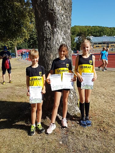 Finley, Neele und Adele (Foto: LV Altstadt '98)