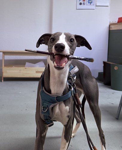 Immer mit dabei: Vierbeiner Kulle, der "B&uuml;rohund" der Jugendkunstschule (Foto: agl)