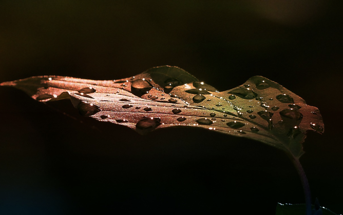 Wetterbild (Foto: ArtTower/pixabay.com)