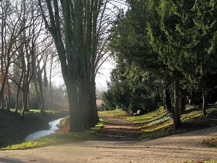 Advents-Impression (Foto: Sebastian Hey)