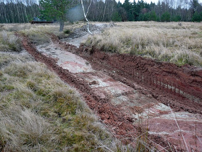Mit 1.000 PS f&uuml;r die Natur (Foto: Karl-Heinz Herrmann)