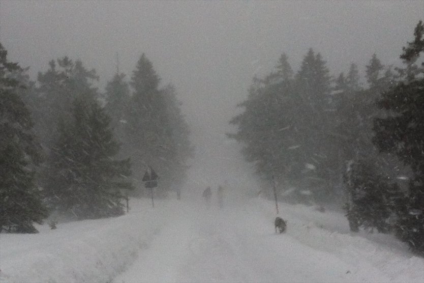 Heiligabend noch kurz auf den Brocken (2011) (Foto: vgf) Heiligabend noch kurz auf den Brocken (2011) (Foto: vgf)
