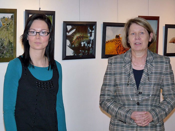 Farbenpr&auml;chtige Schmetterlinge (Foto: Karl-Heinz Herrmann)