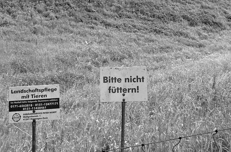 Viel vor in diesem Jahr (Foto: BUND) Viel vor in diesem Jahr (Foto: BUND)