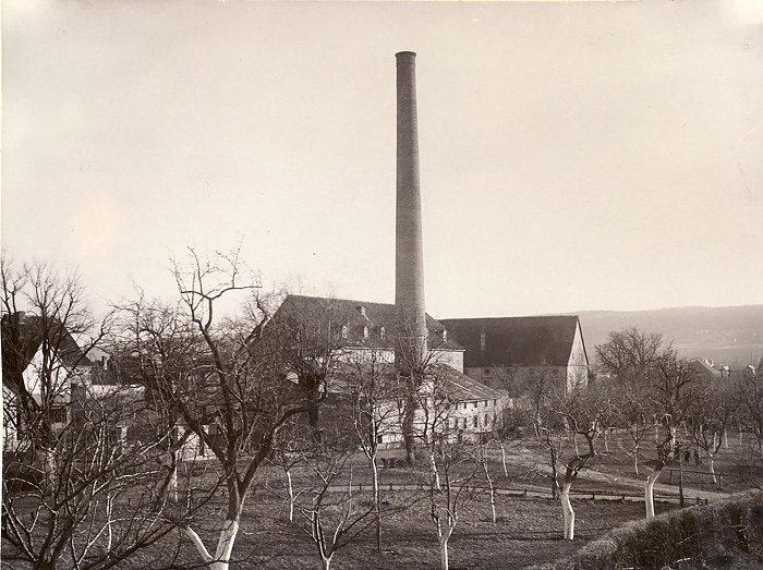 Was B&auml;ume erz&auml;hlen (2. Teil) (Foto: Regionalmuseum Bad Frankenhausen)