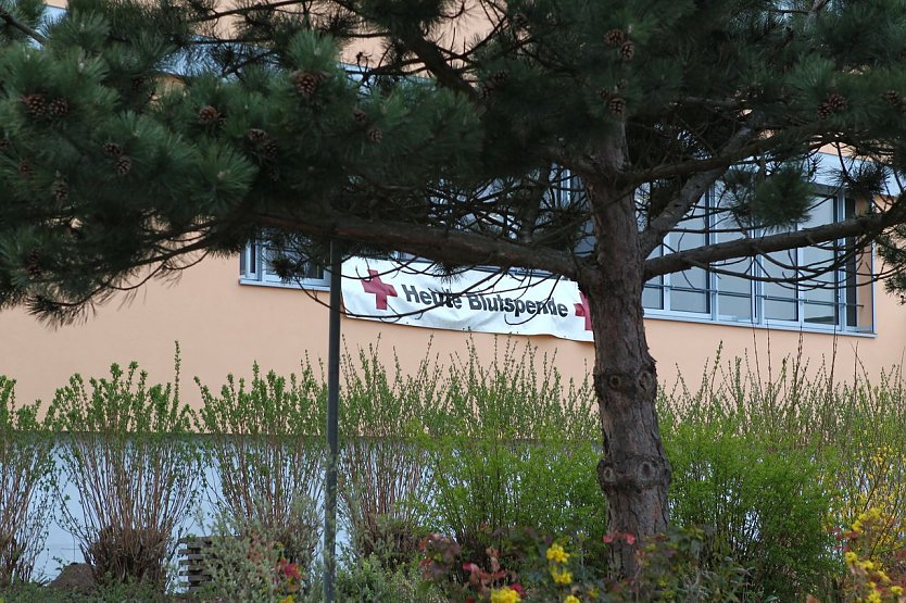 Blutspender geehrt (Foto: nnz)