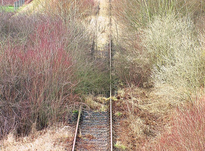 Das letzte aus 2012 (Foto: Karl-Heinz Herrmann)