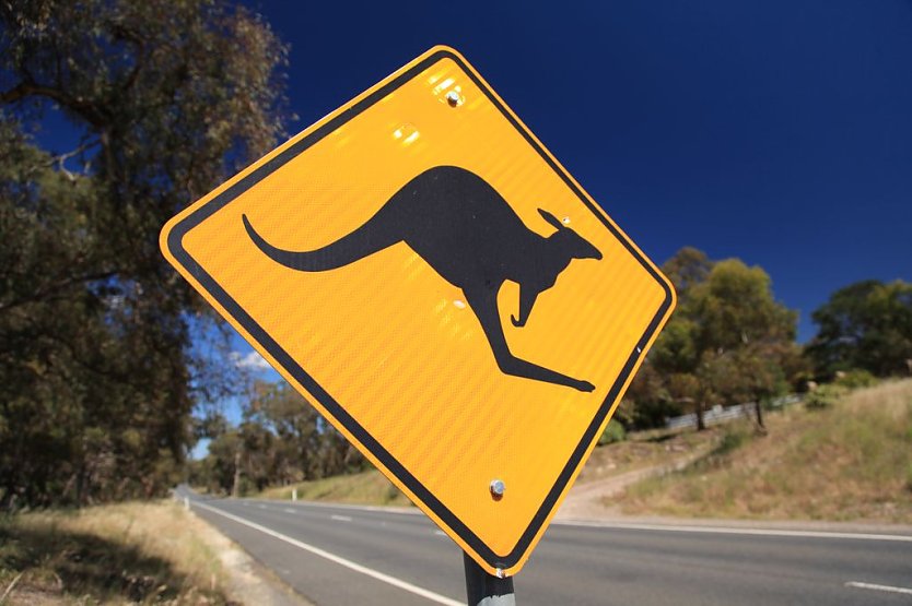 Einmal rundherum (Foto: privat)