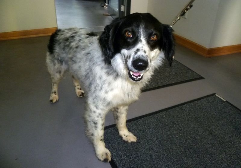 Zur&uuml;ckgebracht (Foto: API)