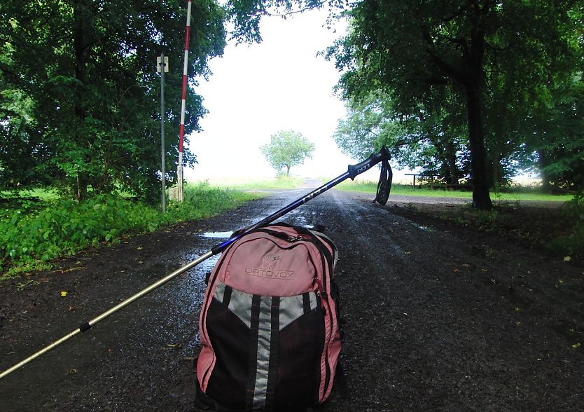 Kurz vor dem Ziel (Foto: B. Schwarzberg)