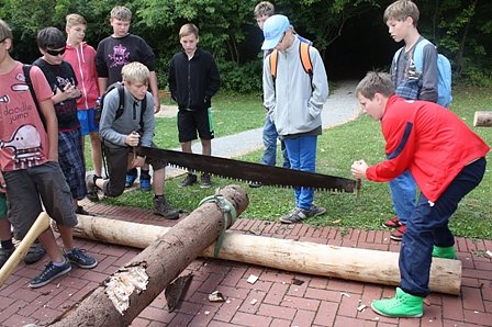 Holzs&auml;gen (Foto: Uwe M&uuml;ller)