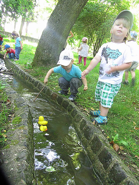Enten schwimmen (Foto: Kindervilla Bad Frankenhausen) Enten schwimmen (Foto: Kindervilla Bad Frankenhausen)