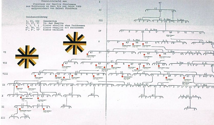 Ahnentafel F&ouml;rstemann in der Ausstellung (Foto: Archiv Kneffel)