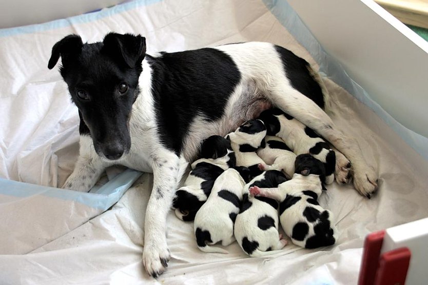 Alle wohlauf (Foto: privat) Alle wohlauf (Foto: privat)