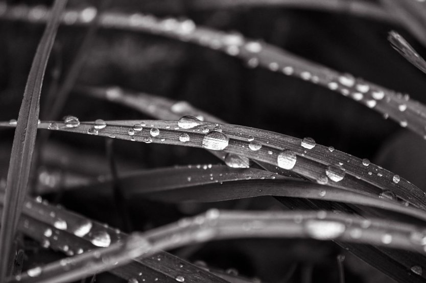 Wetter-Bild (Foto: Gernot Thelemann)