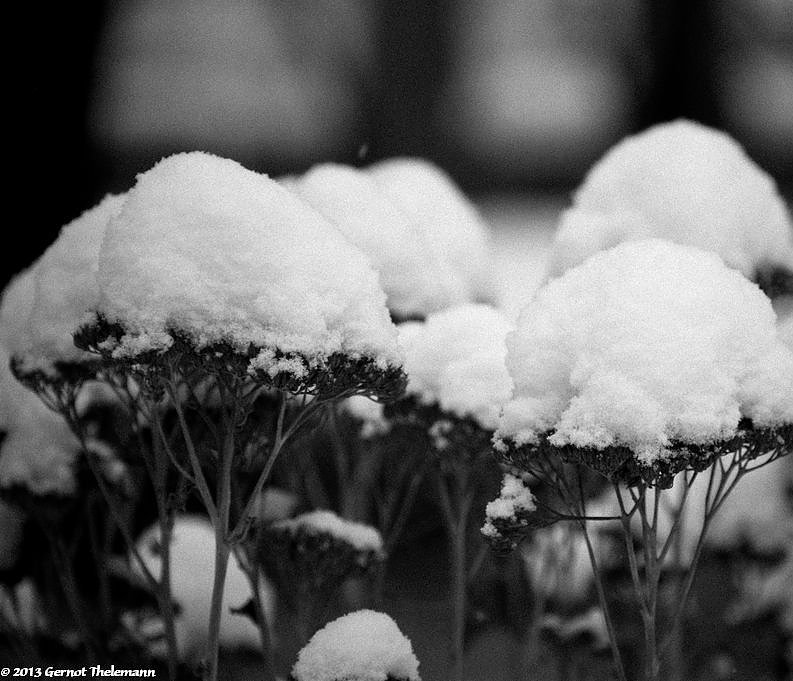 Wunsch oder Realit&auml;t? (Foto: Gernot Thelemann)