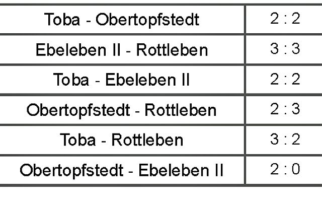 Favorit stolperte (Foto: Karl-Heinz Herrmann)