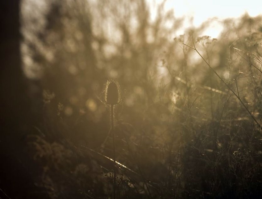 Wetter-Bild (Foto: Gernot Thelemann)