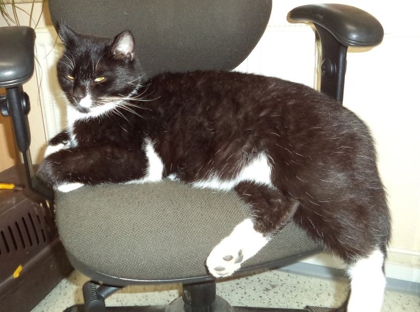 Klinker (Foto: C. Knust) Klinker (Foto: C. Knust)