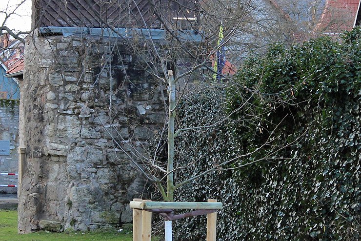 Nach Alarm geflüchtet (Foto: Karl-Heinz Herrmann) Nach Alarm geflüchtet (Foto: Karl-Heinz Herrmann)