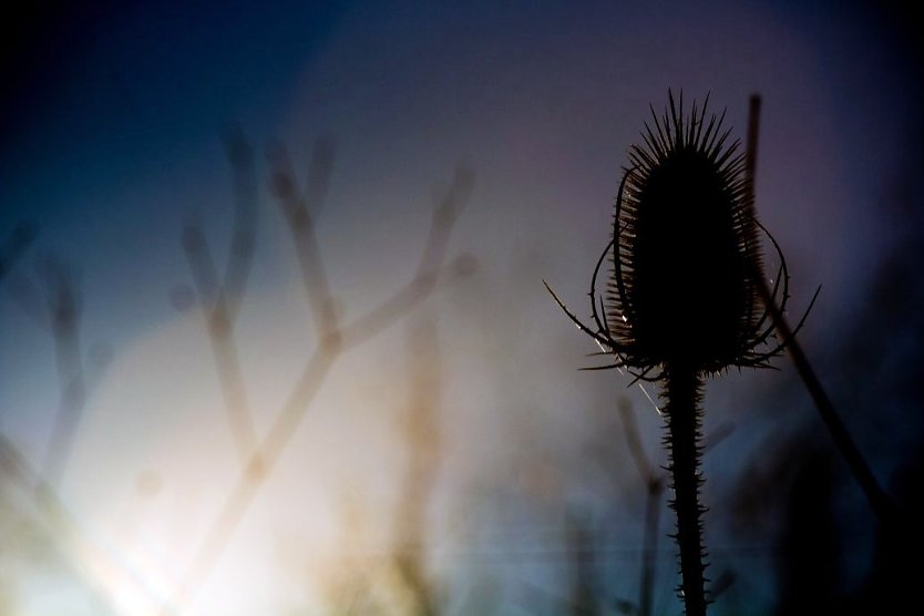 Wetter-Bild (Foto: Gernot Thelemann)