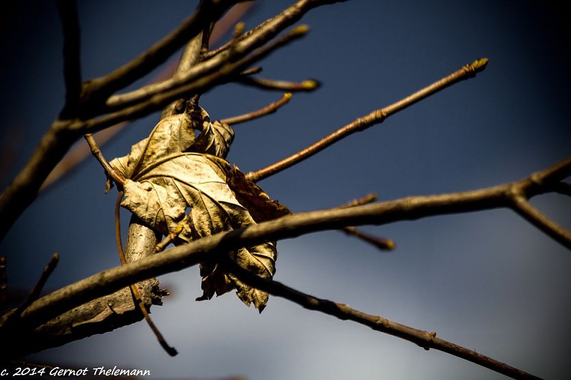 Wetter-Bild (Foto: Gernot Thelemann) Wetter-Bild (Foto: Gernot Thelemann)