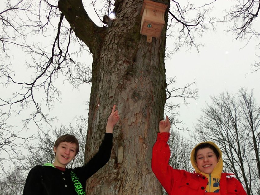 Nistkasten gebaut (Foto: HPZ) Nistkasten gebaut (Foto: HPZ)