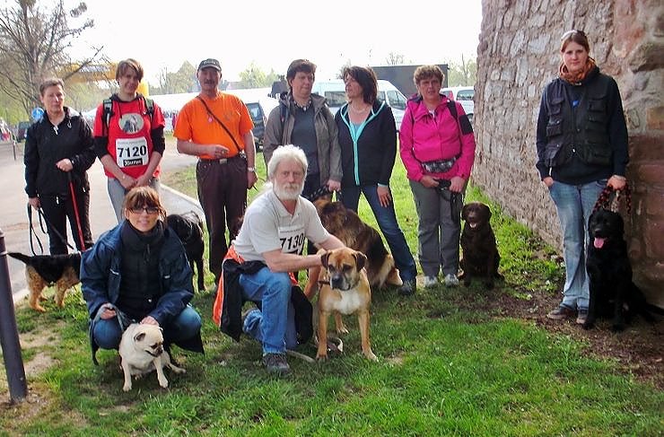 Kyffh&auml;userberglauf 2014 � ein tolles Erlebnis (Foto: Stadt Bad Frankenhausen)