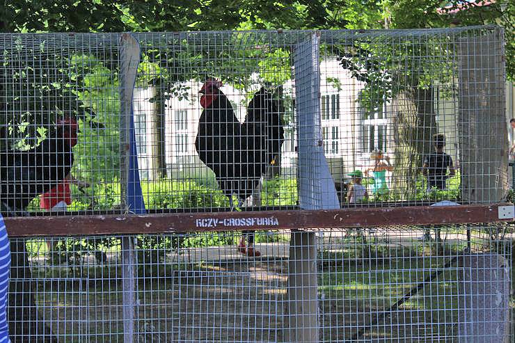 Pfingstfest auf der Feuerkuppe (Foto: Karl-Heinz Herrmann)
