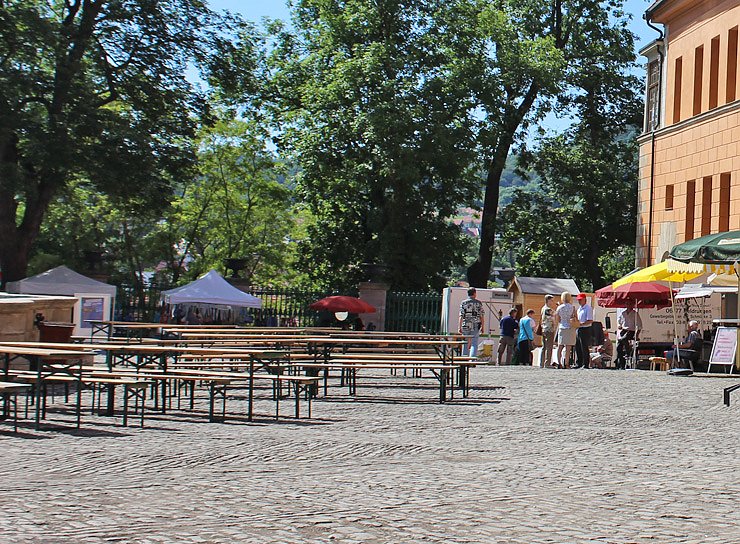 Wo blieb der Sonnenschutz? (Foto: Karl-Heinz Herrmann) Wo blieb der Sonnenschutz? (Foto: Karl-Heinz Herrmann)