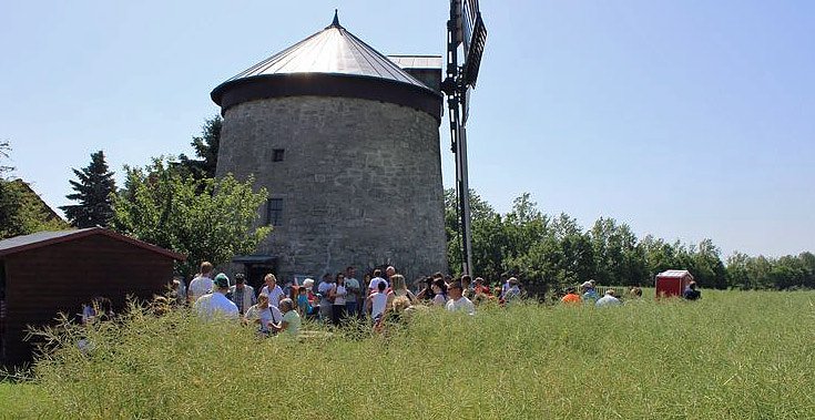 Neues von der Mühle Immenrode (Foto: Karl-Heinz Herrmann) Neues von der Mühle Immenrode (Foto: Karl-Heinz Herrmann)