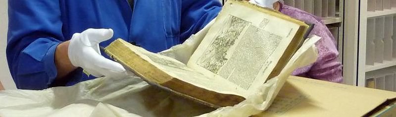 Pr&auml;sentiert (Foto: P. Grabe|Stadtverwaltung Nordhausen)