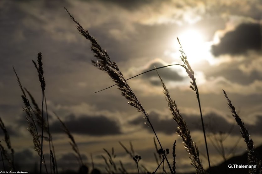 Wetter-Bild (Foto: Gernot Thelemann) Wetter-Bild (Foto: Gernot Thelemann)