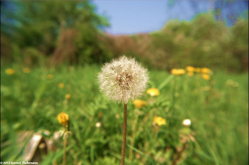 Wetter-Bild (Foto: Gernot Thelemann)