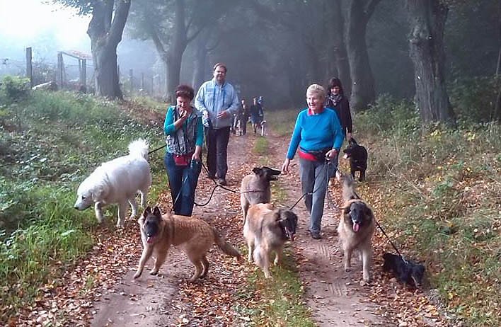 Herbstwanderung des Sondershäuser Hundevereins (Foto: Privat)