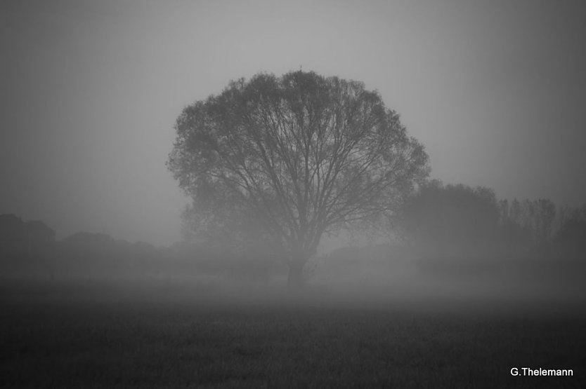 Wetterbild (Foto: Gernot Thelemann)