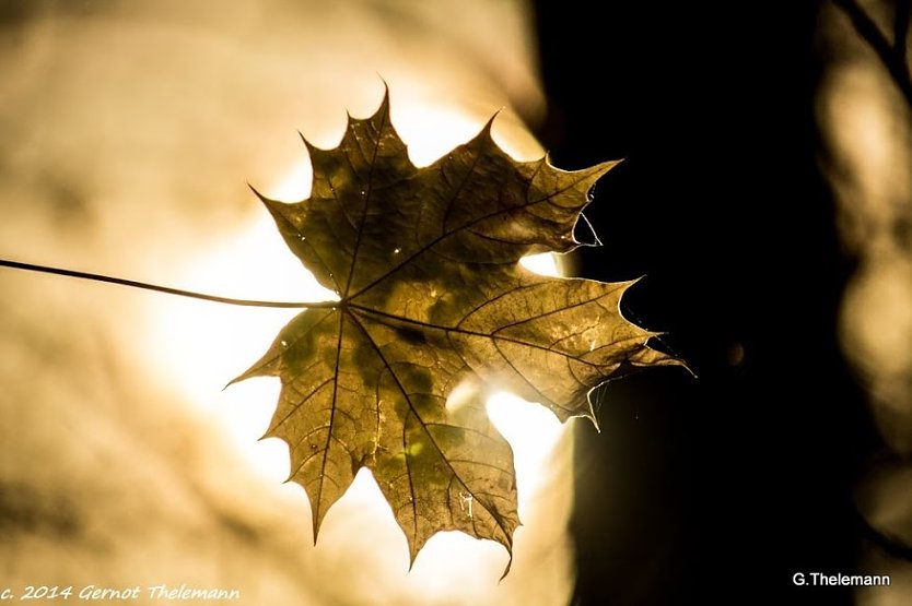 Wetterbild (Foto: Gernot Thelemann)