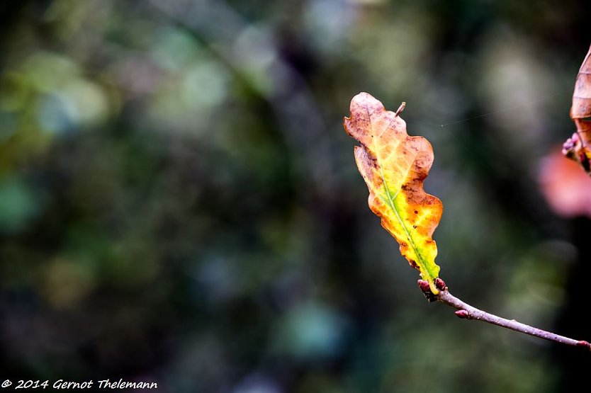 Wetterbild (Foto: Gernot Thelemann)