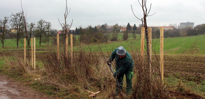 Arbeiten in der Windlücke bei Nordhausen (Foto: Stadtverwaltung Nordhausen)