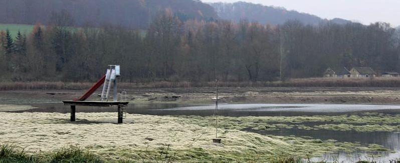 Ja was ist denn mit dem Teich passiert? (Foto: Privat)