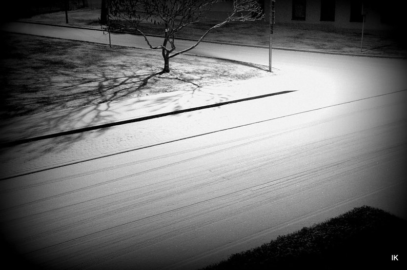 Schnee (Foto: Ilka K&uuml;hn)