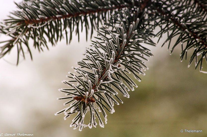 Wetterbild (Foto: Gernot Thelemann) Wetterbild (Foto: Gernot Thelemann)