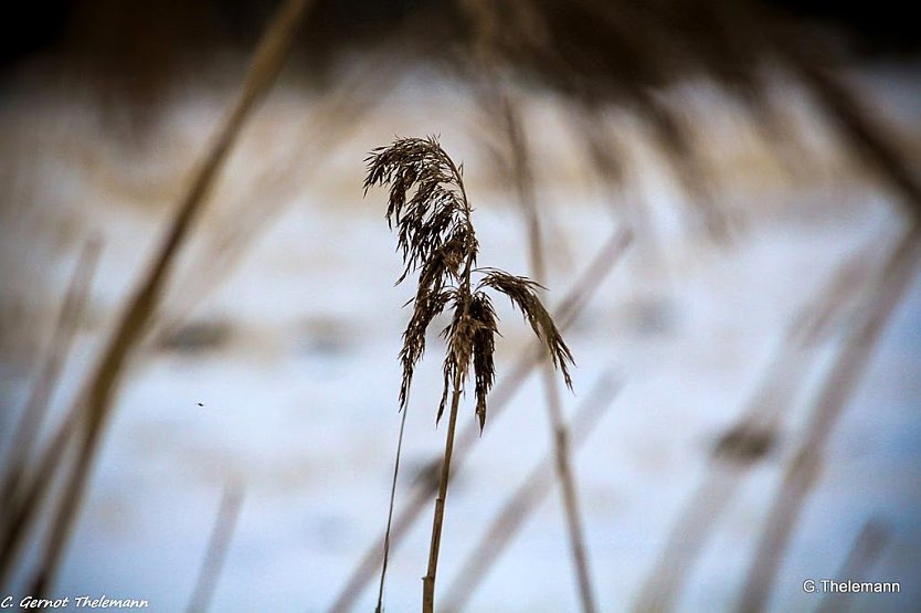 Wetter-Bild (Foto: Gernot Thelemann)