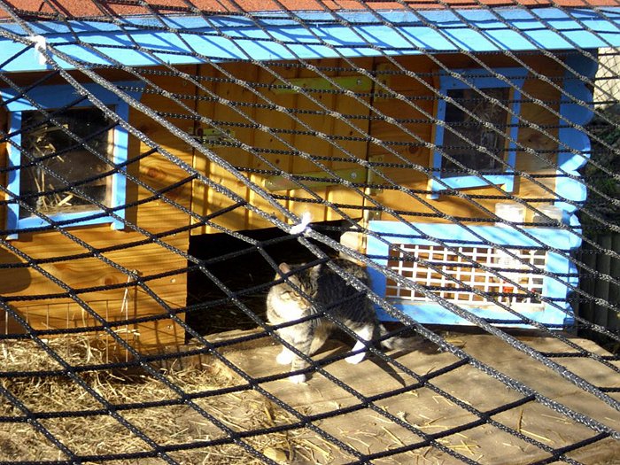 Weihnachten auf dem Possen (Foto: Thomas Leipold)